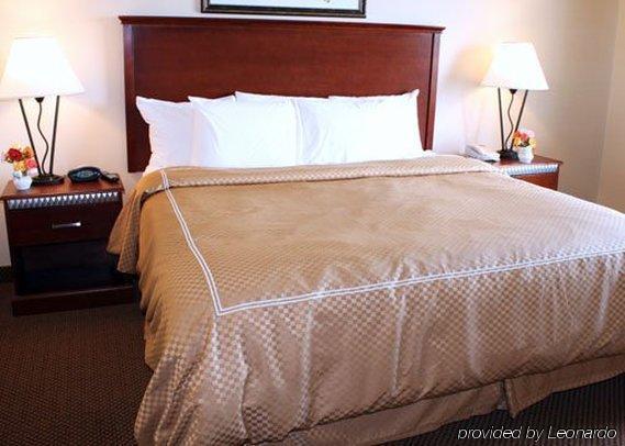 Comfort Suites Wixom Habitación foto